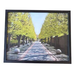 Michael J. Brown Lenticular Optical Art Pathway With Trees 8x10